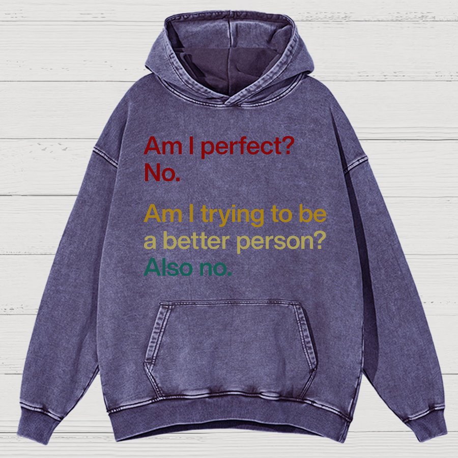 Am I Perfect ?No.Vintage Distressed Hoodie