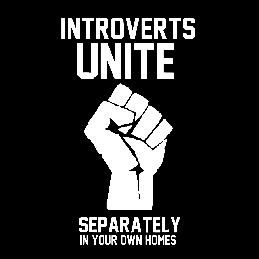 Introverts Unite Nerd Geek T-Shirt