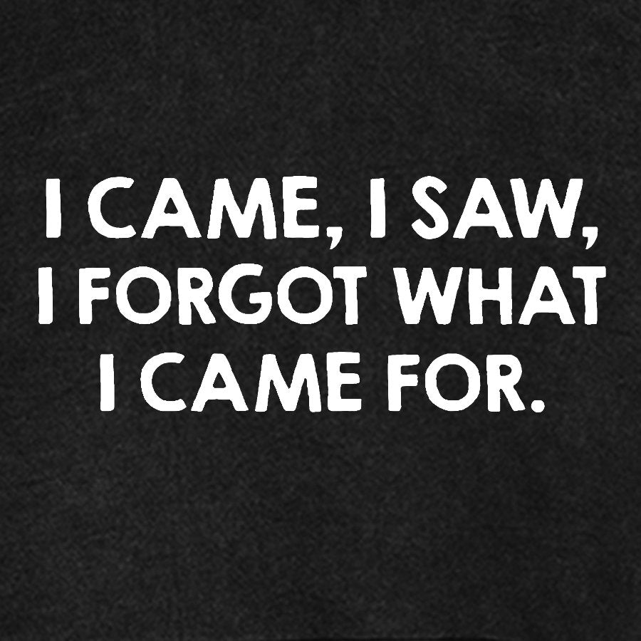 I Came and Saw Funny Vintage Distressed Hoodie