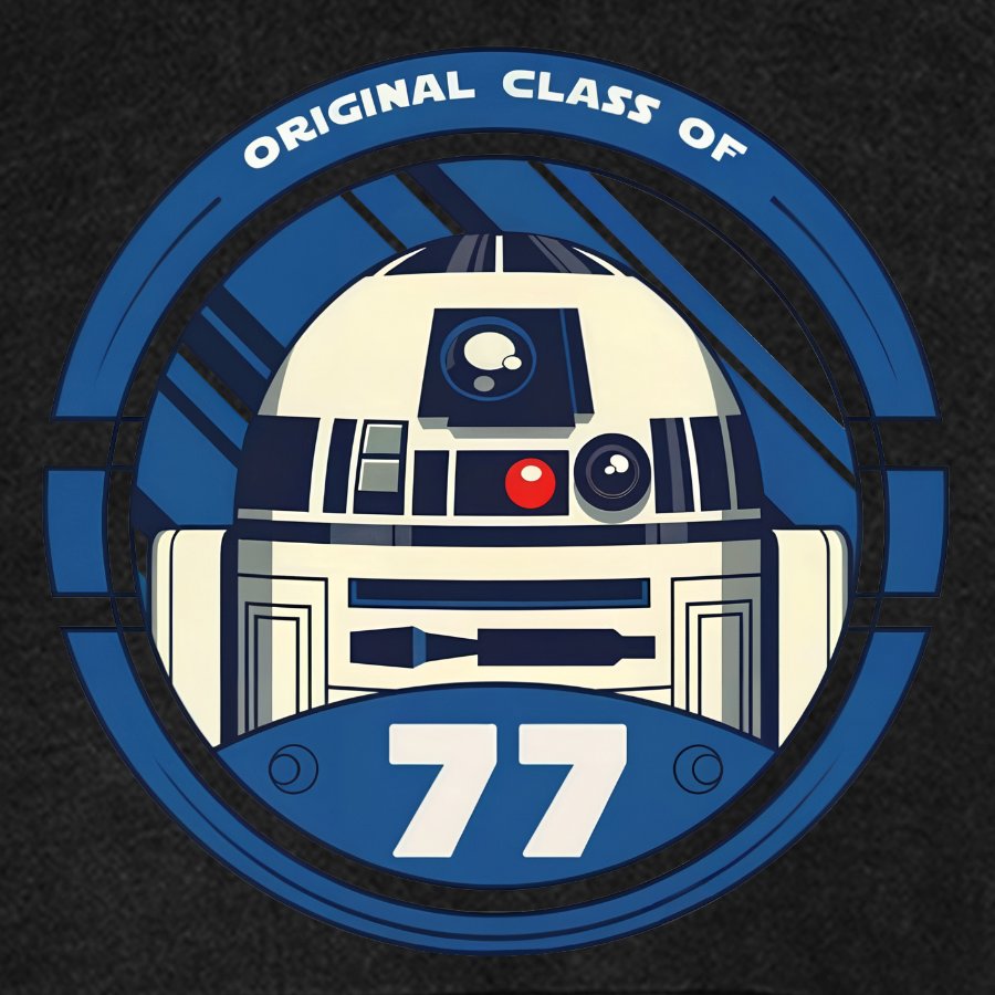 Original Class Of 77 Vintage Distressed Hoodie