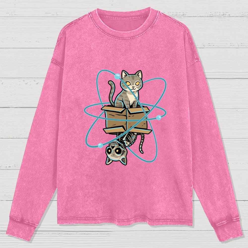 Schrodinger's Pet Washed Long Sleeve Tee