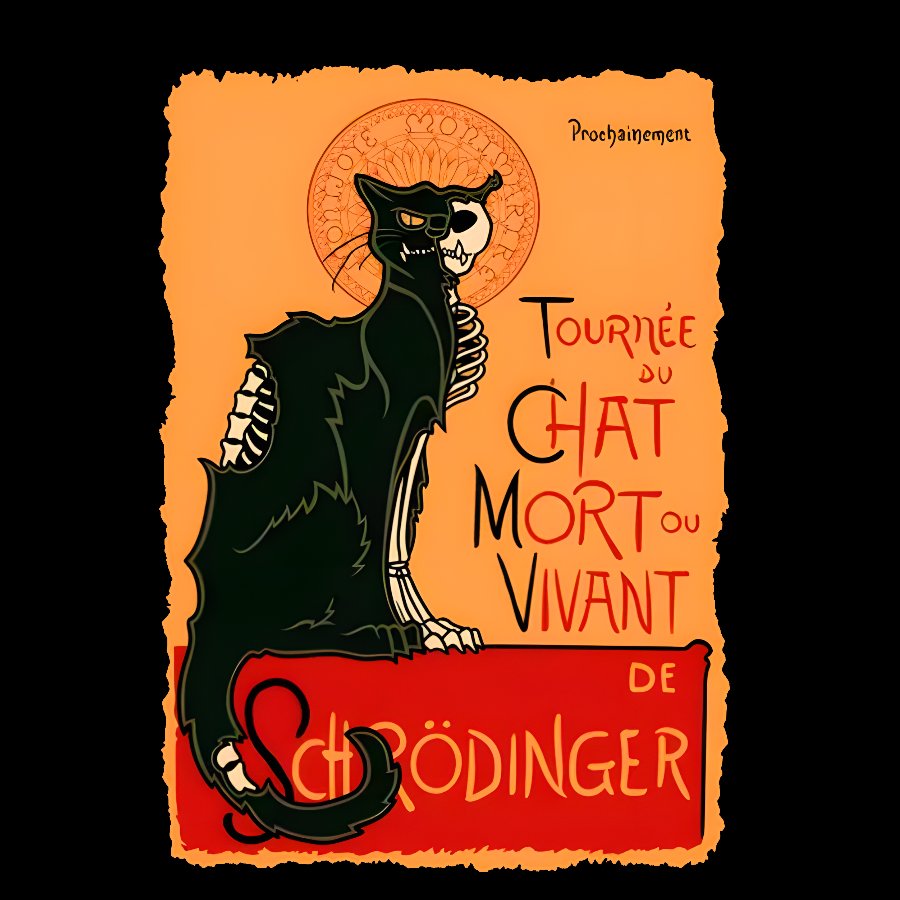Le chat noir de Schrödinger Geek T-Shirt