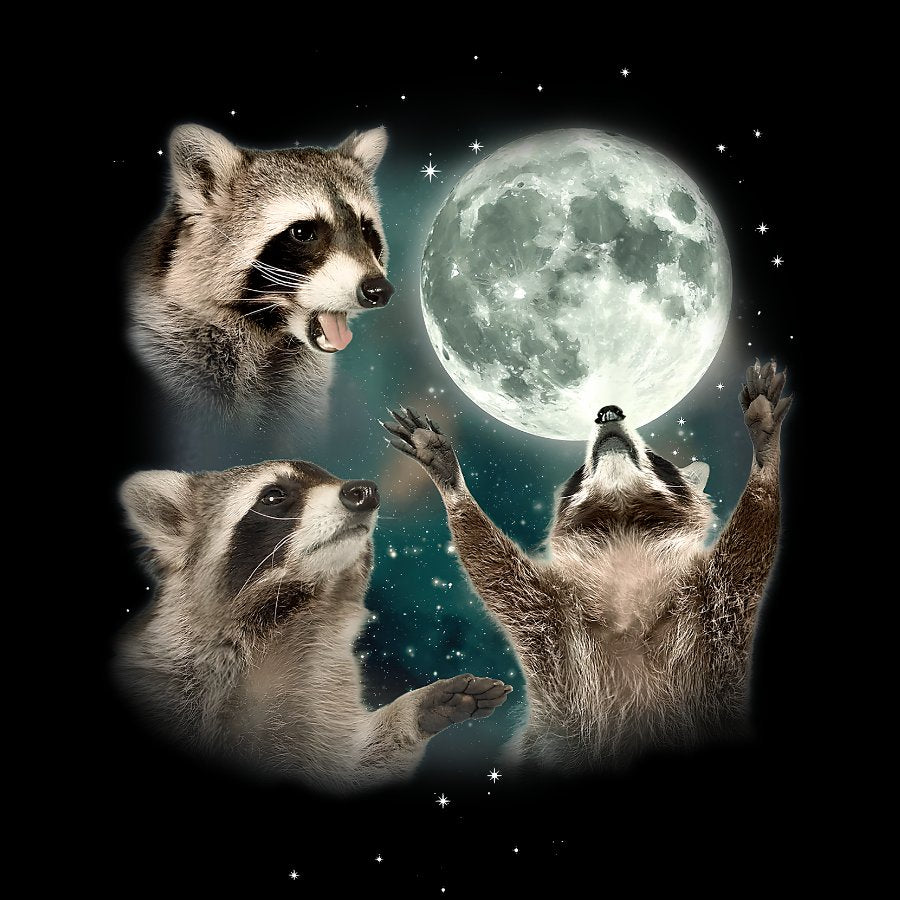 Three Raccoons Moon Geeky T-Shirt