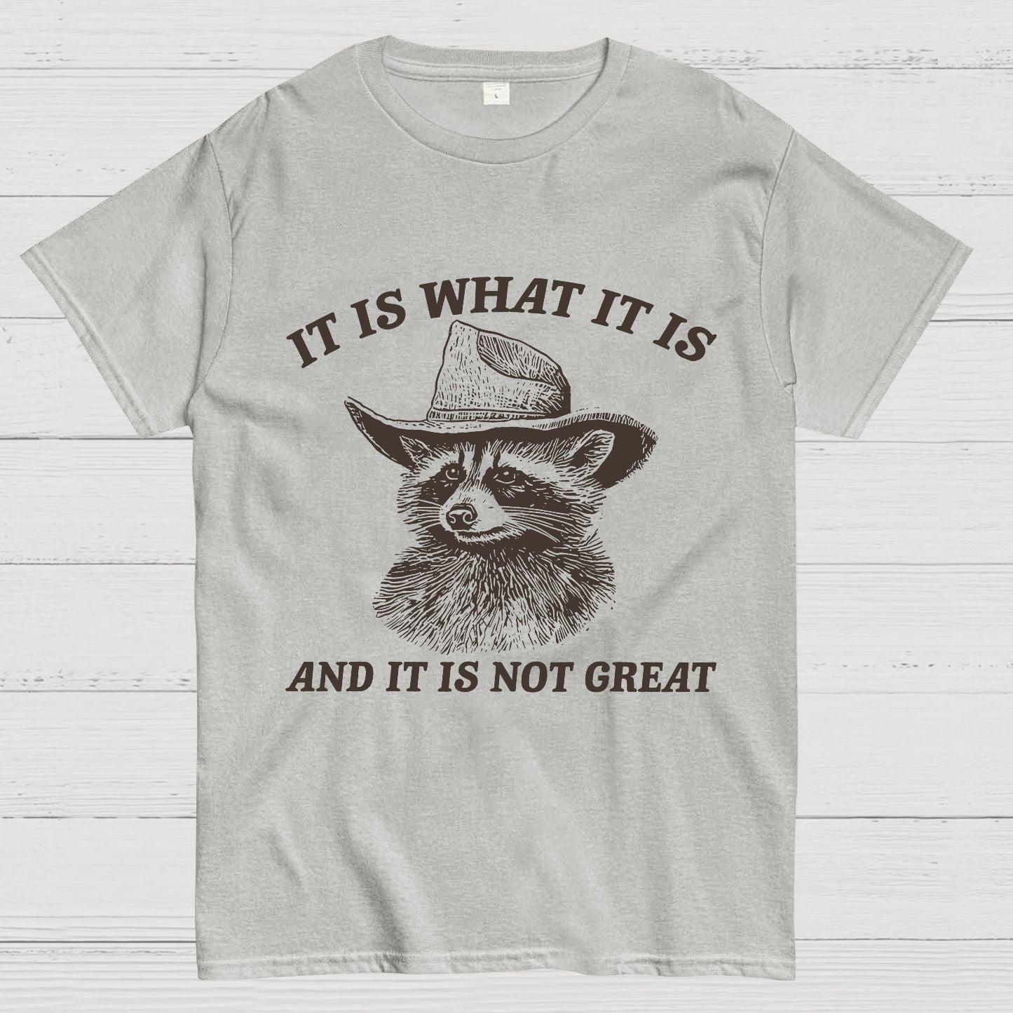 t Is What It Is And It Is Not Great Vintage Raccoon Geeky T-Shirt