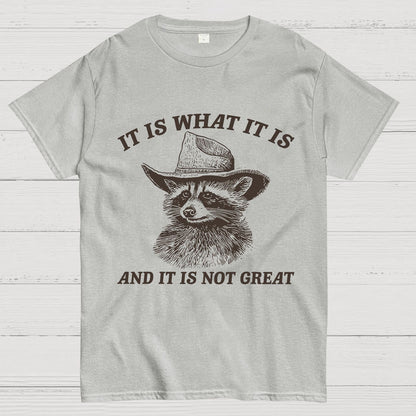 t Is What It Is And It Is Not Great Vintage Raccoon Geeky T-Shirt