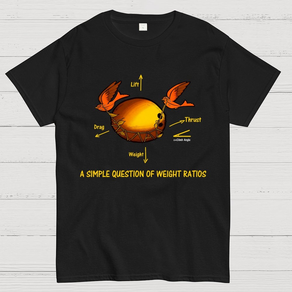 A Simple Question Of Weight Ratios Geek T-Shirt