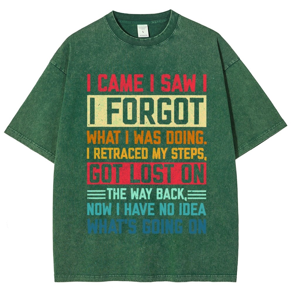 I Came I Saw I Forgot What I Was Doing Sarcastic Vintage Distressed T-shirt
