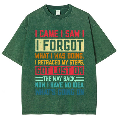 I Came I Saw I Forgot What I Was Doing Sarcastic Vintage Distressed T-shirt