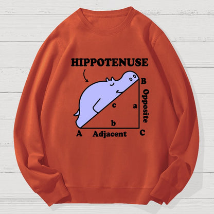 Hypotenuse Math Pun, Hippotenuse Essential Geek Cotton Sweatshirt