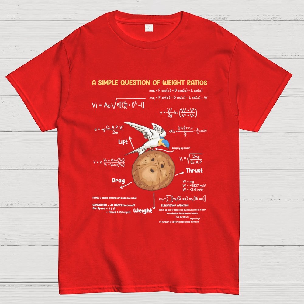 A Simple Question Of Weight Ratios Geek T-Shirt