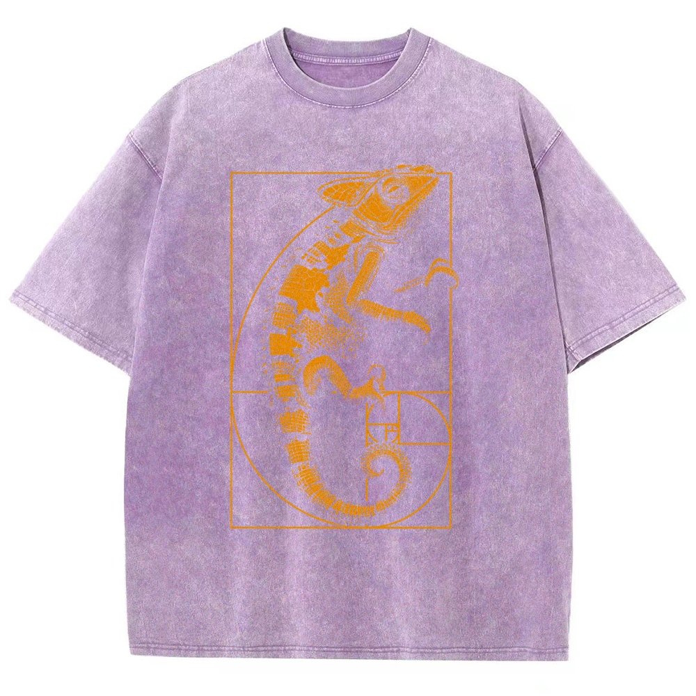 Chameleon Ratio Vintage Distressed T-shirt