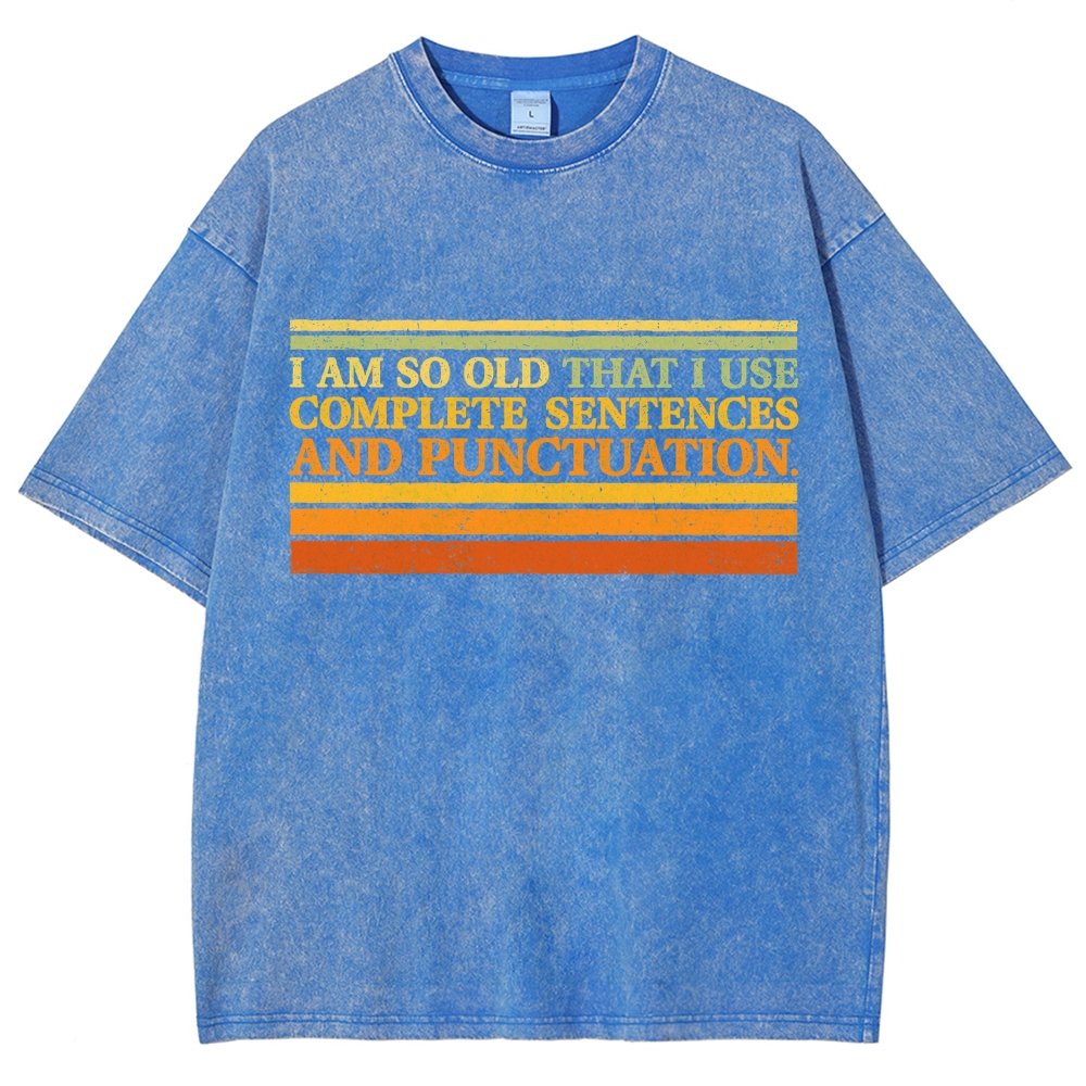 Complete Sentences and Punctuation Vintage Distressed T-shirt
