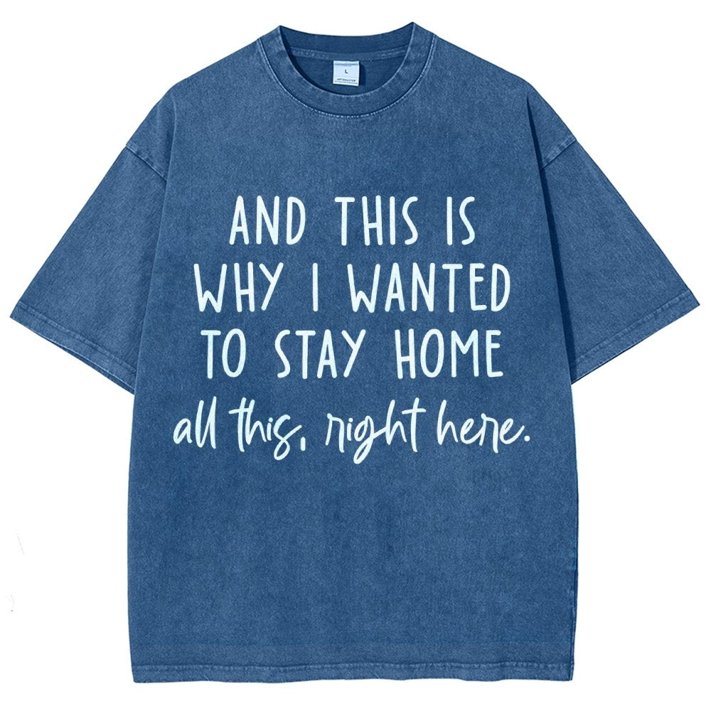Sarcastic Introvert And This Is Why I Wanted To Stay Home Vintage Distressed T-shirt