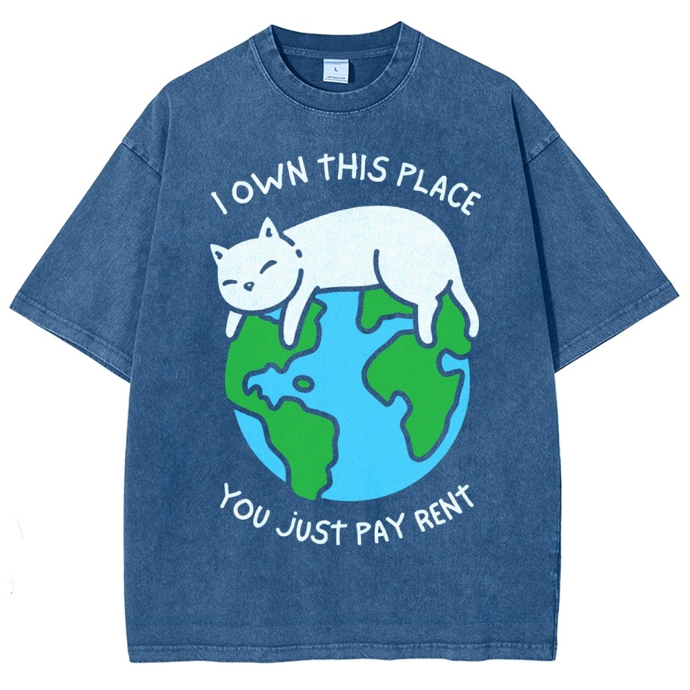I Own This Place Vintage Distressed T-shirt