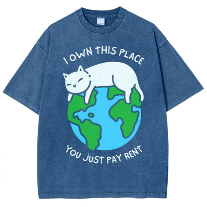 I Own This Place Vintage Distressed T-shirt