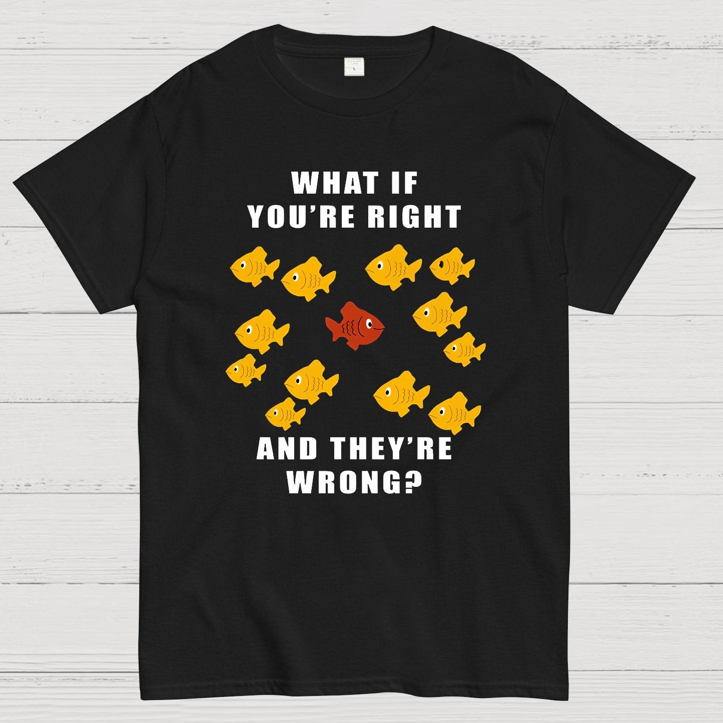 What If You're Right And They're Wrong Geeky T-Shirt