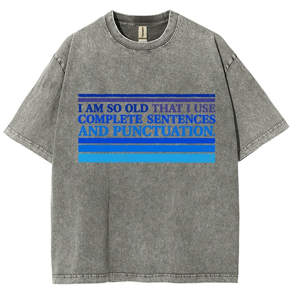 Complete Sentences and Punctuation Vintage Distressed T-shirt