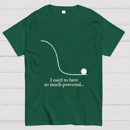 Used To Have Potential Geek T-Shirt
