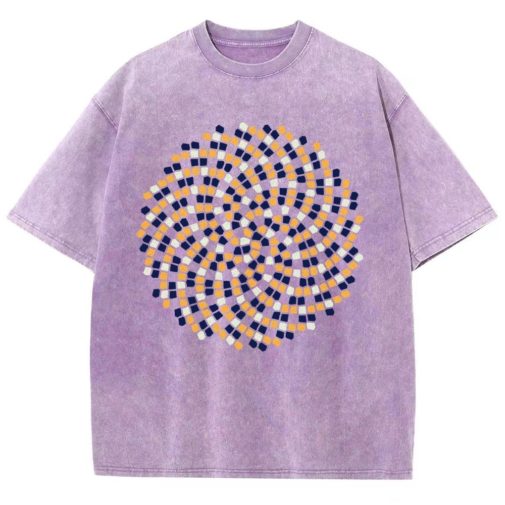 Fibonacci modulus Vintage Distressed T-shirt