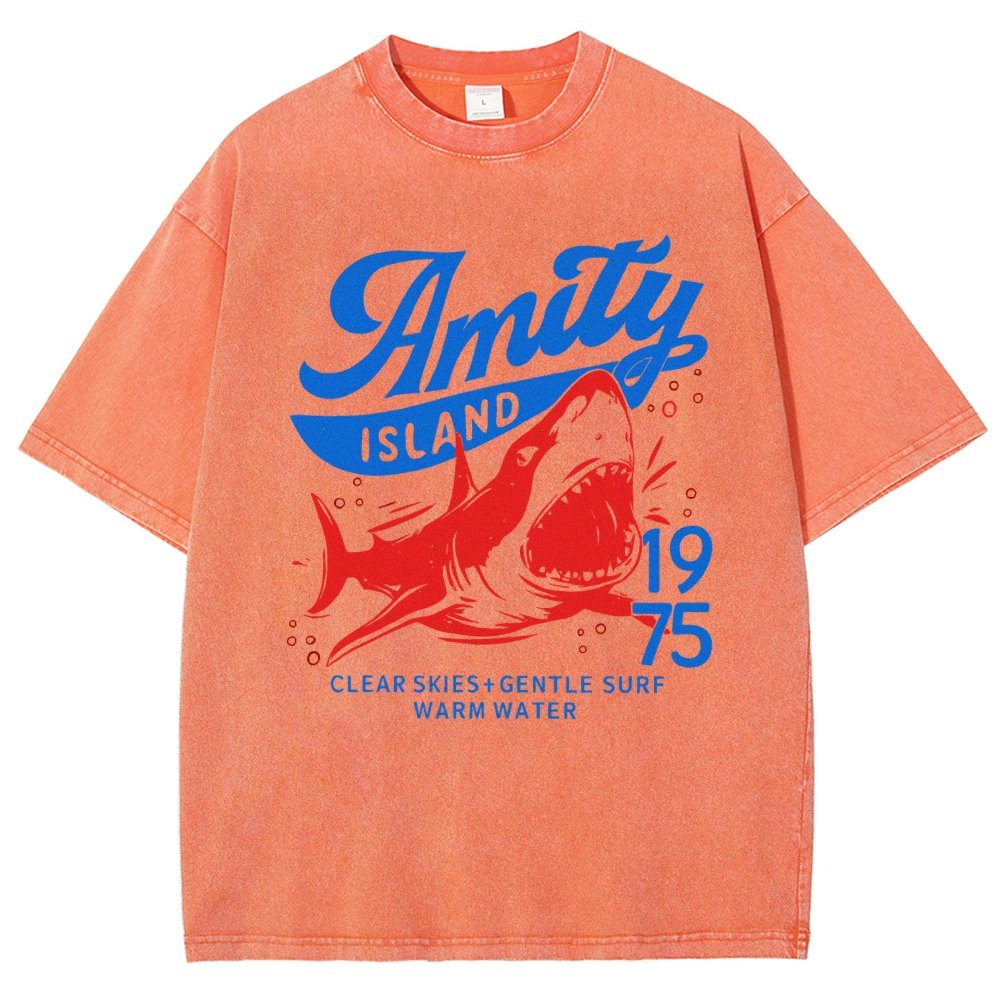 Seaside Town 1975 Vintage Distressed T-shirt