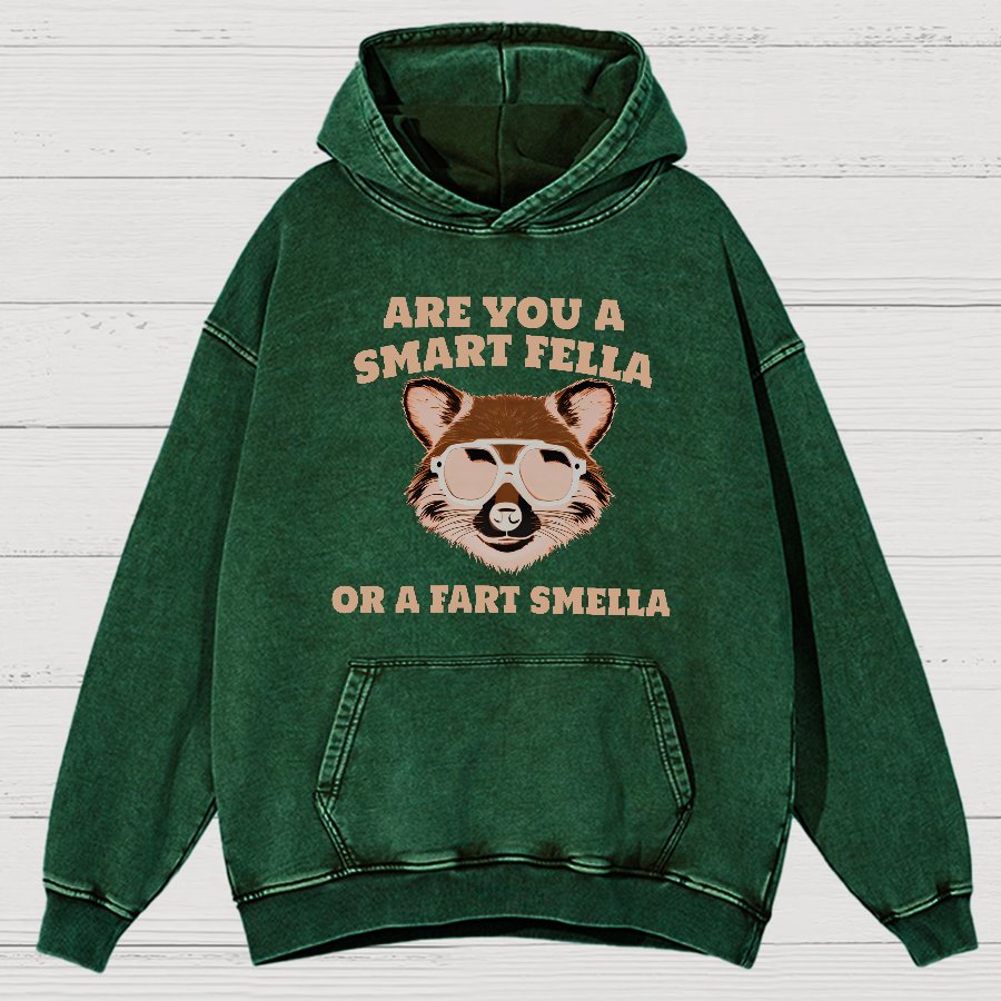 Are You A Smart Fella Or Fart Smella Vintage Distressed Hoodie