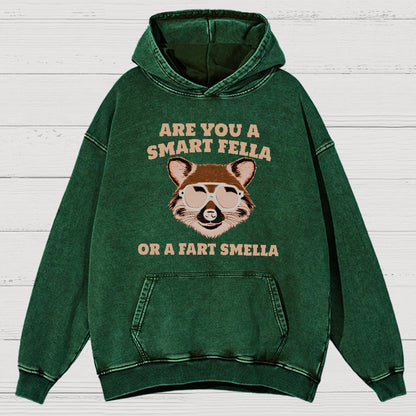 Are You A Smart Fella Or Fart Smella Vintage Distressed Hoodie
