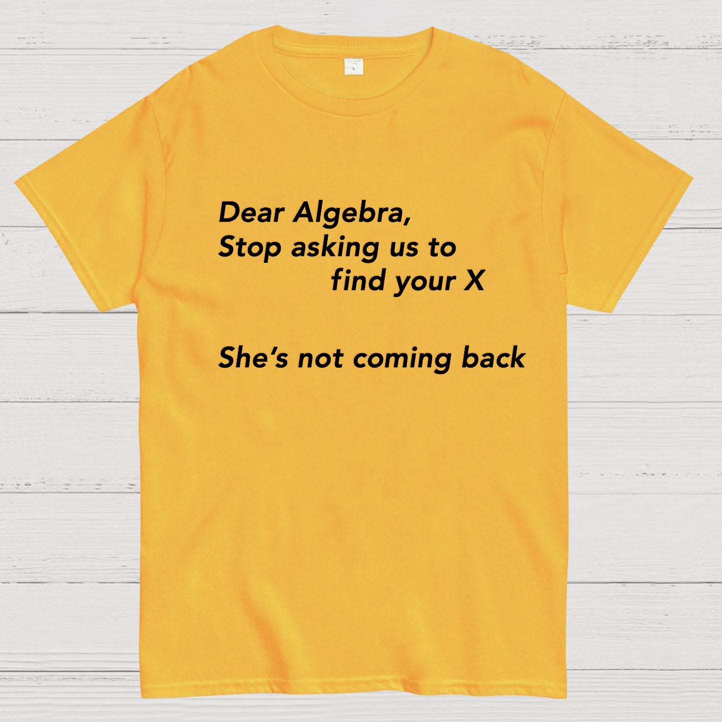 Dear Algebra, Stop Asking Us To Find Your X-1 Geeky T-Shirt