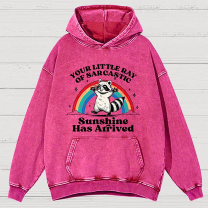 Your Little Ray of Sarcastic Sunshine Has Arrived Vintage Distressed Hoodie
