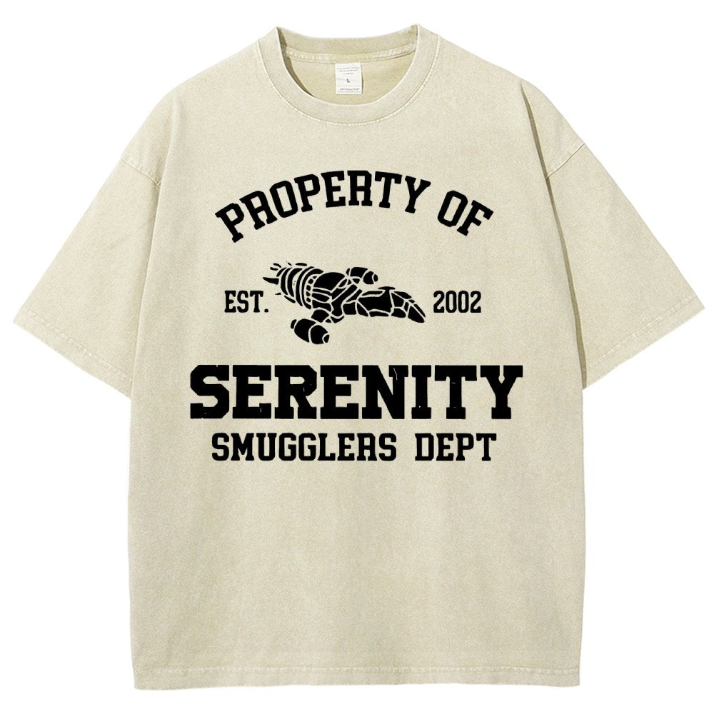 Property of Starlight Vintage Distressed T-shirt