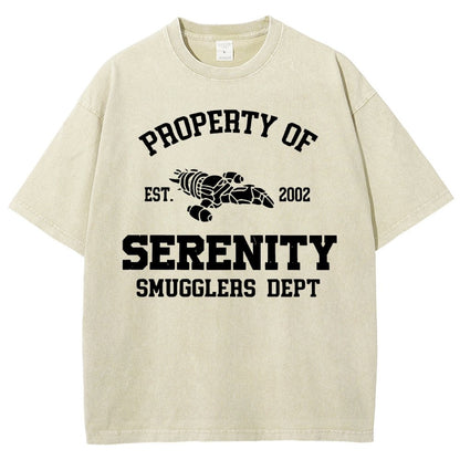 Property of Starlight Vintage Distressed T-shirt