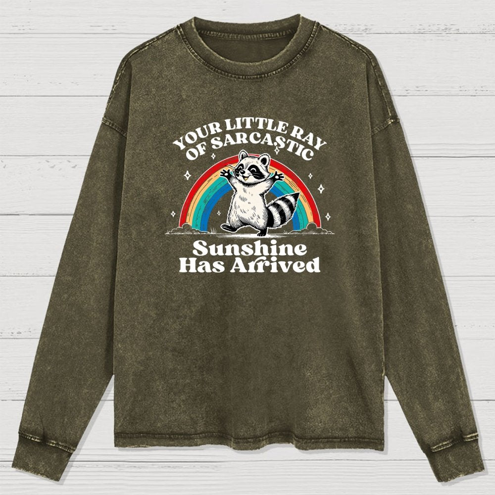 Your Little Ray of Sarcastic Sunshine Has Arrived Washed Long Sleeve Tee