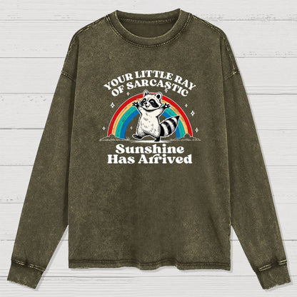 Your Little Ray of Sarcastic Sunshine Has Arrived Washed Long Sleeve Tee