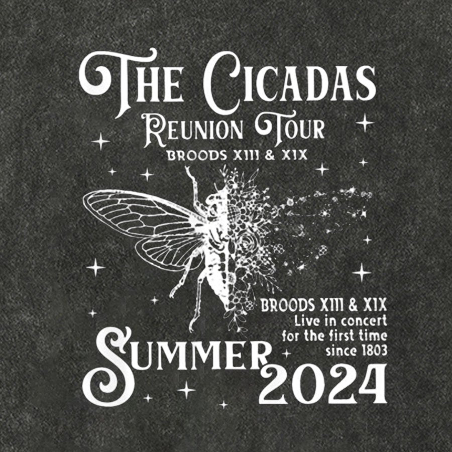 The Cicadas Reunion Tour Summer 2024 Cotton Hat