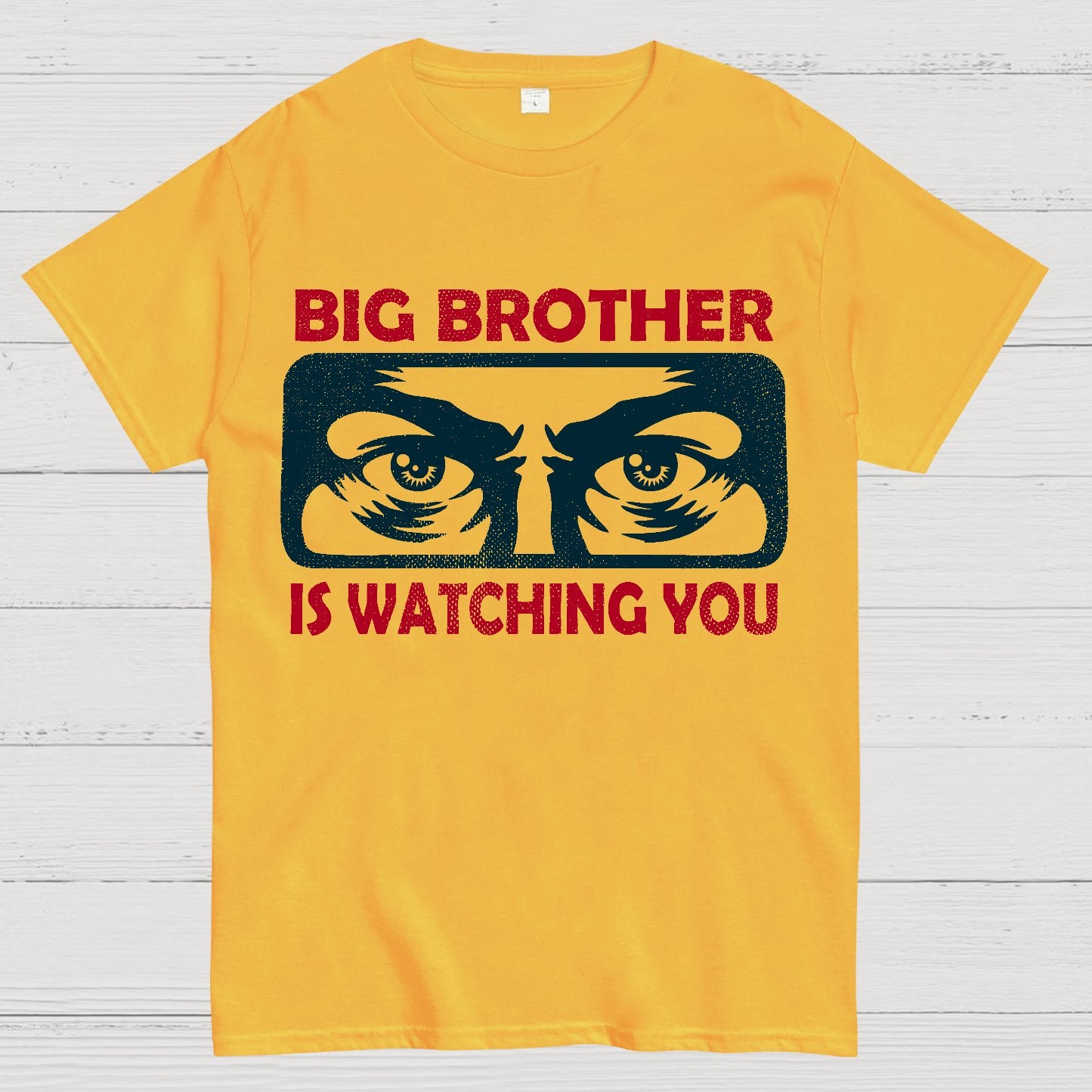 Ministry Of Truth Big Brother Is Watching You Sarcasm Geek T-Shirt