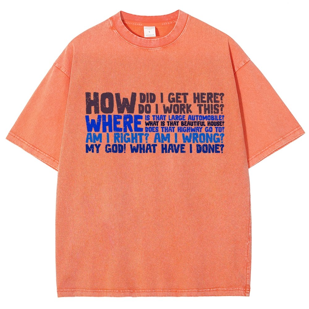 How Did I Get Here Vintage Distressed T-shirt
