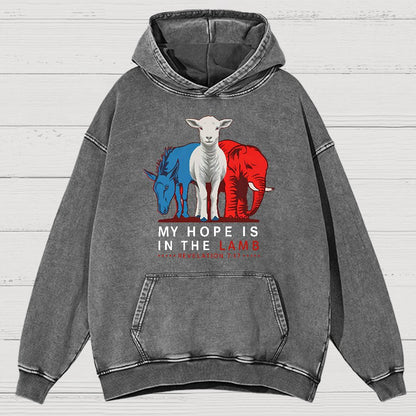 My Hope Is In The Lamb Vintage Distressed Hoodie