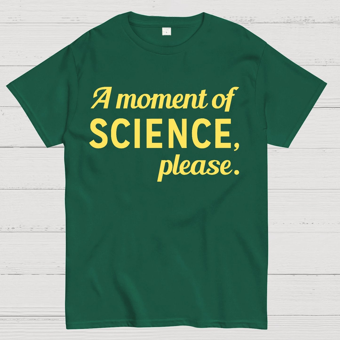 A Moment of Science, Please Geek T-Shirt