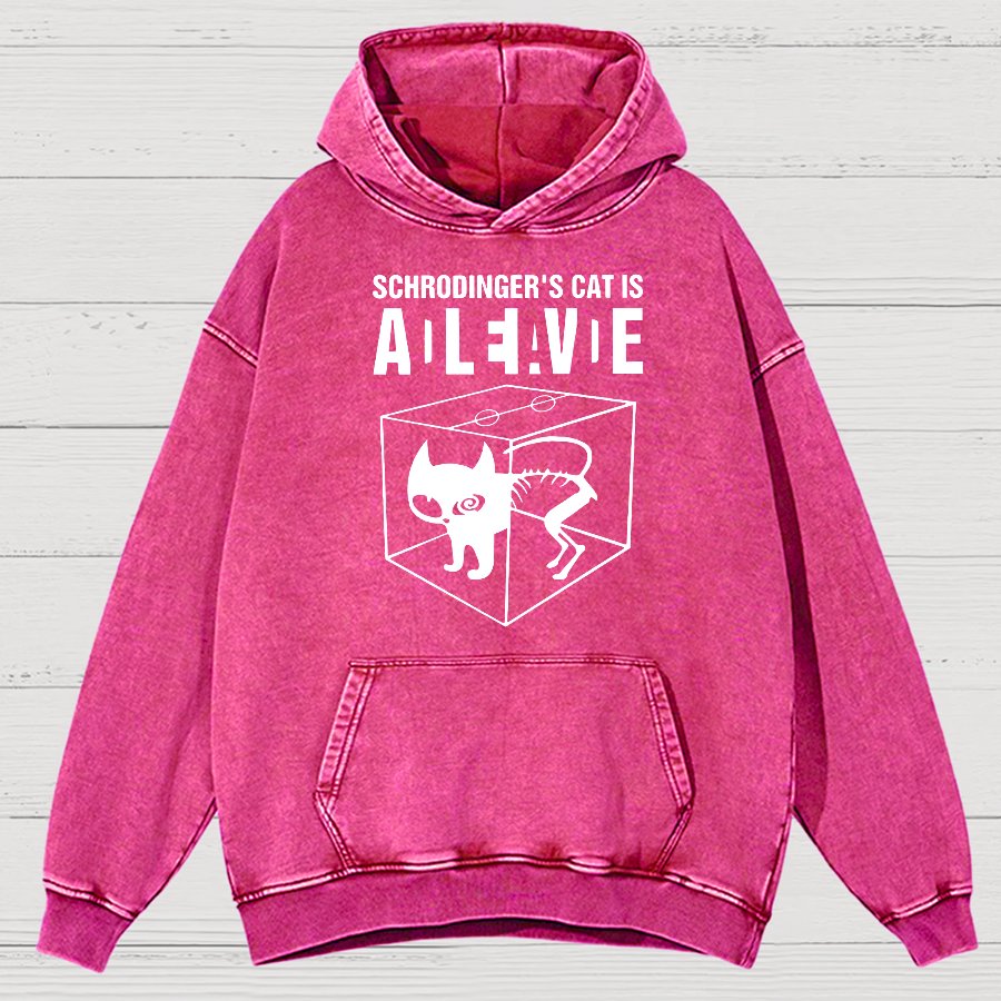 Schrodinger's Cat Vintage Distressed Hoodie