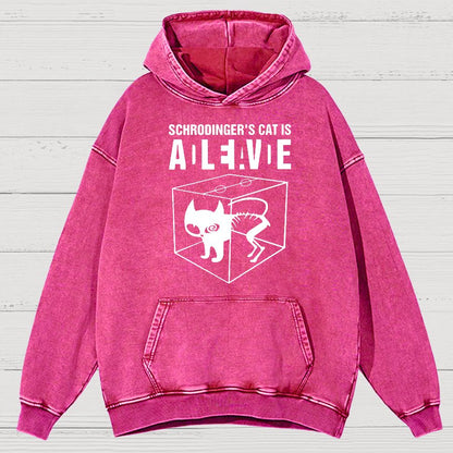 Schrodinger's Cat Vintage Distressed Hoodie