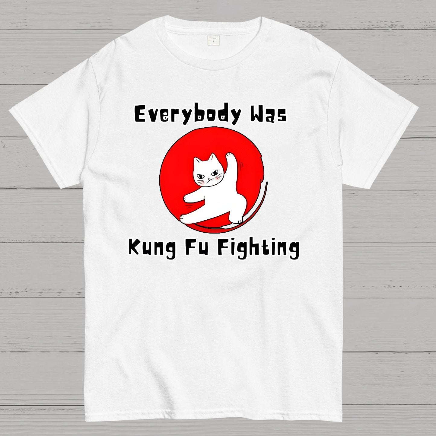 Everybody Was Kung Fu Fighting Geek T-Shirt