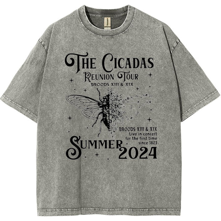 The Cicadas Reunion Tour Summer 2024 Vintage Distressed T-shirt