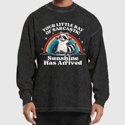 Your Little Ray of Sarcastic Sunshine Has Arrived Washed Long Sleeve Tee