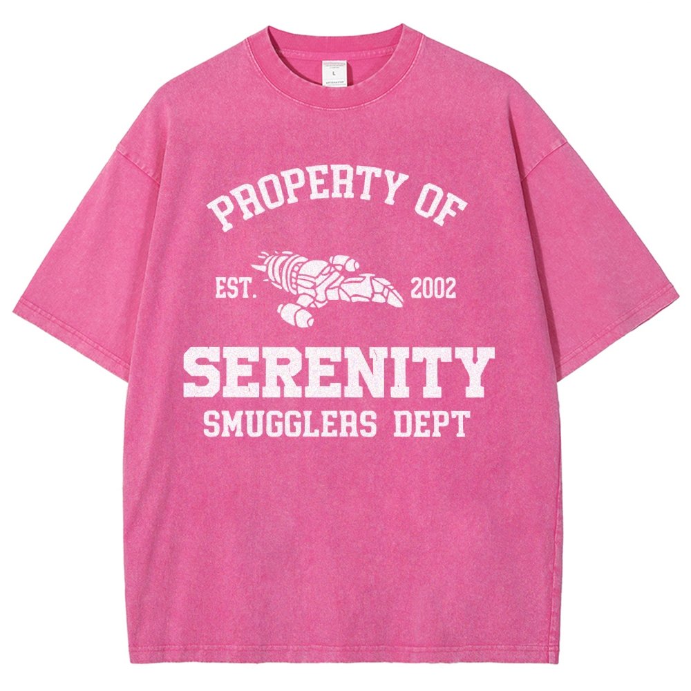 Property of Starlight Vintage Distressed T-shirt