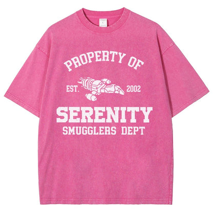 Property of Starlight Vintage Distressed T-shirt