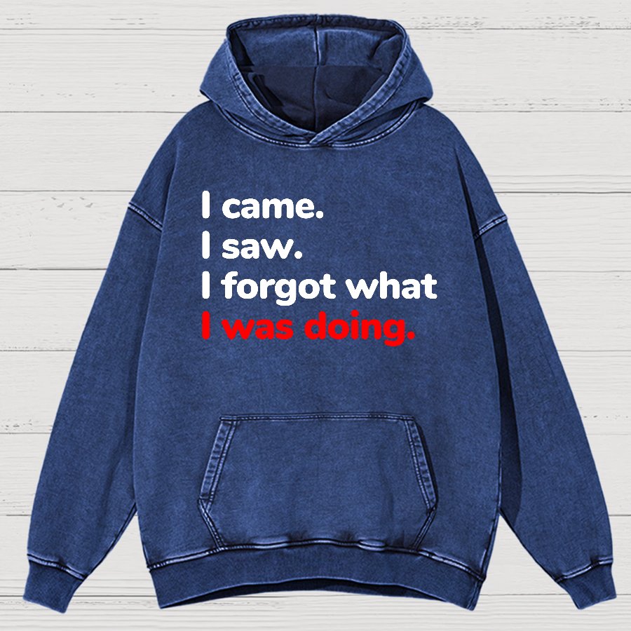 I Came. I Saw. I Forgot What I Was Doing Vintage Distressed Hoodie