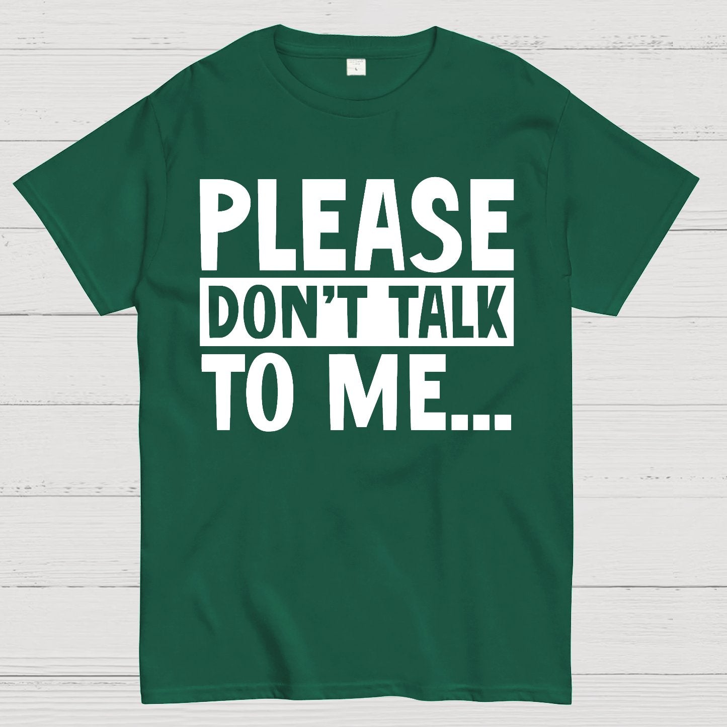 Please Don't Talk To Me Funny Geek T-Shirt