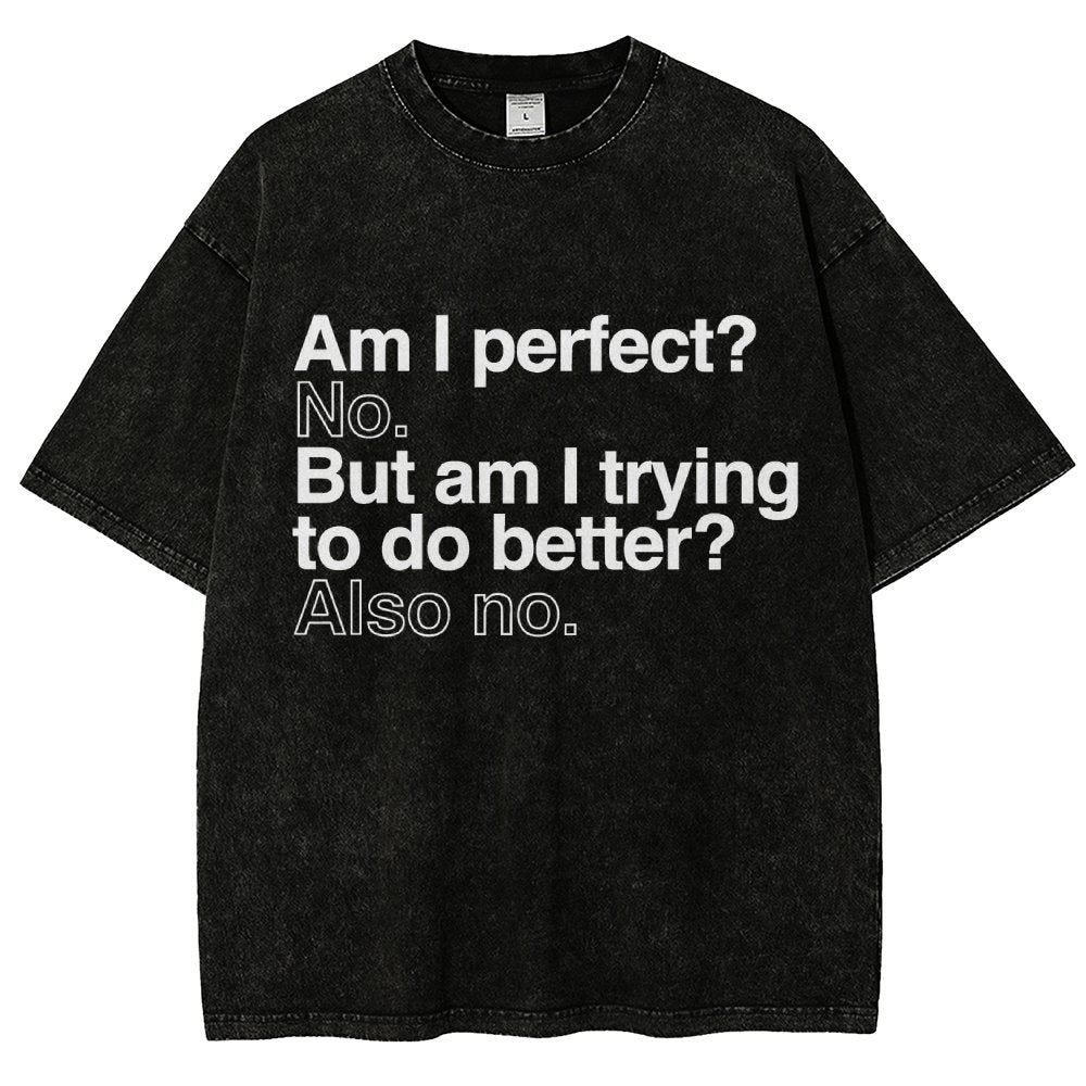 Am I Perfect? No. Am I Trying To Be Better Person Vintage Distressed T-shirt