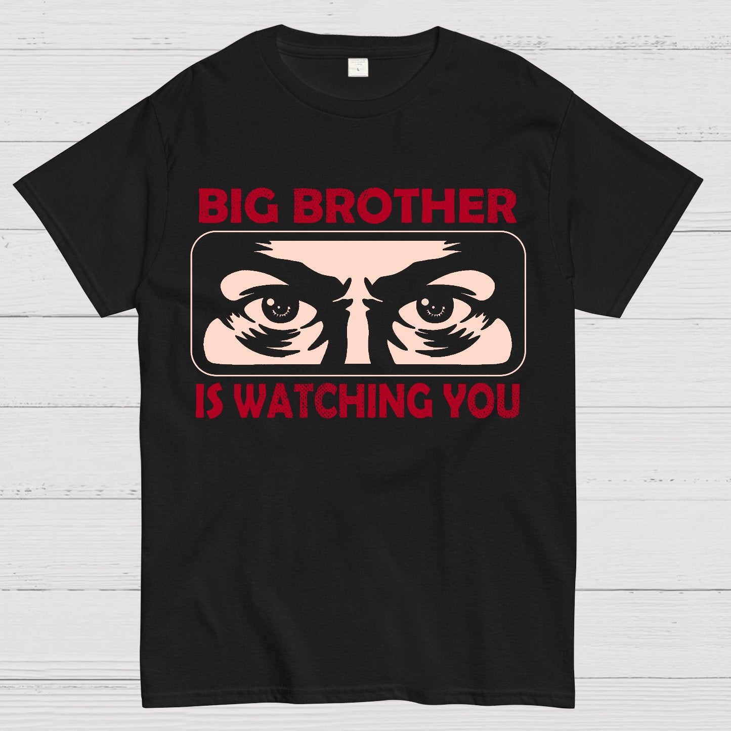 Ministry Of Truth Big Brother Is Watching You Sarcasm Geek T-Shirt