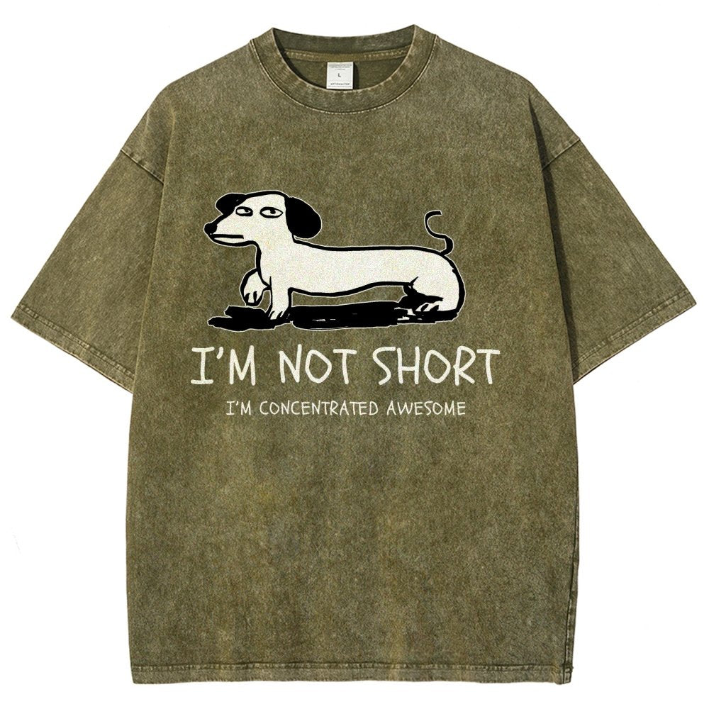 I'm Not Short Vintage Distressed T-shirt