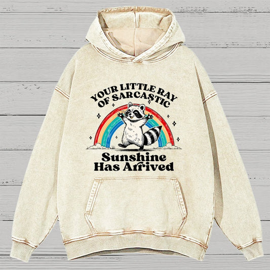 Your Little Ray of Sarcastic Sunshine Has Arrived Vintage Distressed Hoodie